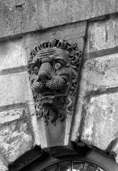 A stone lion above a window at Blenheim Palace, Oxfordshire, from 'The Country Houses of Sir John Vanbrugh' by Jeremy Musson, published 2008 (b/w photo), English Photographer, (20th century) / © Country Life / Bridgeman Images