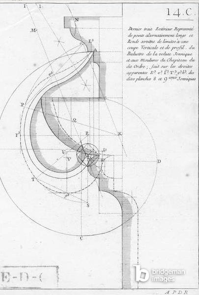 The ionic capital, illustration from a book on geometry, published Avec Privilege du Roy et E.. du Gouvernement (engraving) (b/w photo) / Bridgeman Images