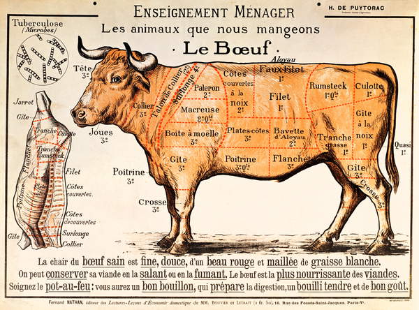 image of a poster Beef: diagram depicting the different cuts of meat (colour litho), French School, (20th century) / Private Collection / © Archives Charmet / Bridgeman Images